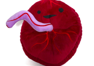 placenta plush pillow